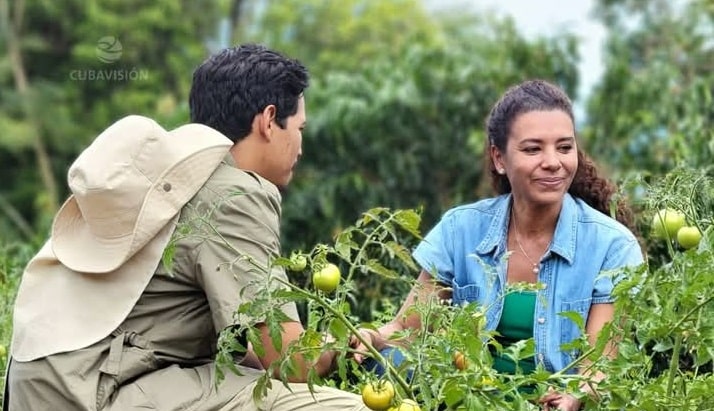 Dan a conocer nuevos detalles sobre la próxima telenovela cubana (léalos aquí) Dan a conocer nuevos detalles sobre la próxima telenovela cubana (léalos aquí)